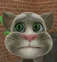 Old Talking Tom