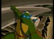 leo 2003