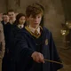 Newt scamanderr