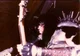 Peter Steele