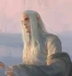 The Young Elf Prince
