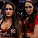 The Bella Twins