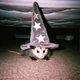 Possum Wizard