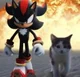 Shadow the hedgehog