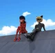 Ladybug and Cat Noir