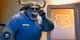 Chief Bogo 