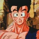 Son Gohan 
