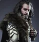 Thorin Oakenshield 