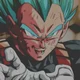 Vegeta 