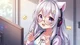Streamer Roomate