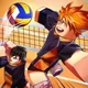 Volleyball Legends