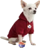 2010s Chihuahua TF 