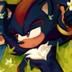 SHADOW T HEDGEHOG 