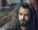Thorin Oakenshield 