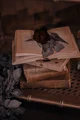 4th Wall Narrator