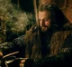 Thorin Oakenshield 