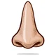 Nose