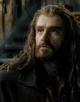 Thorin Oakenshield 