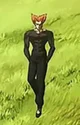 SLIDING GAROU