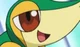 Smugleaf