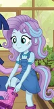 Flurry heart 
