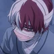 Shoto Todoroki