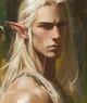 High Elf Prince