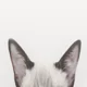 02 