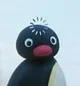 Pingu