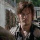 DARYL D 