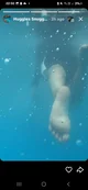 Giant teenager feet