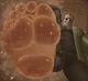 Jason s foot
