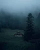 Заброшка