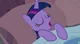 Princess twilight 