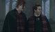 Remus y James