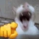 Sing Undefeatable