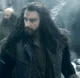 Thorin Oakenshield
