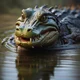 Female alligator