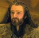 Thorin Oakenshield 