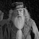 ALBUS P DUMBLEDORE 
