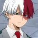 Shoto Todoroki