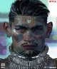 Jibaro