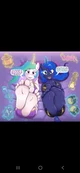 Royal feet- duo