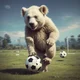 teddy