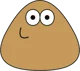 Pou