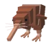 Un kiwi