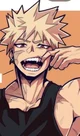 Katsuki Bakugo 