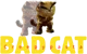 Bad Cat Creepypasta