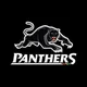 Penrith panthers 