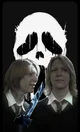 Weasly twins